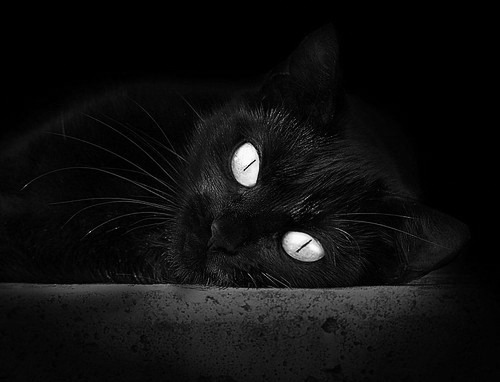 德布劳内魔翼斩苍穹,阿森纳巅峰对决力克南美劲旅厄瓜多尔