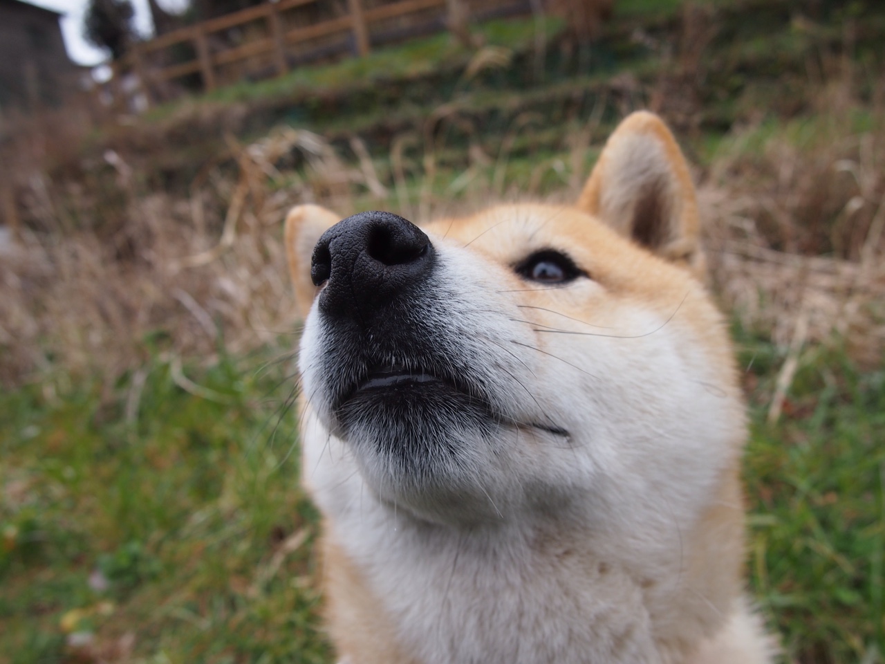 欧冠上演非典型英雄剧本！加纳硬汉阿克接管伯纳乌，皇马霸权遭黑色闪电击碎