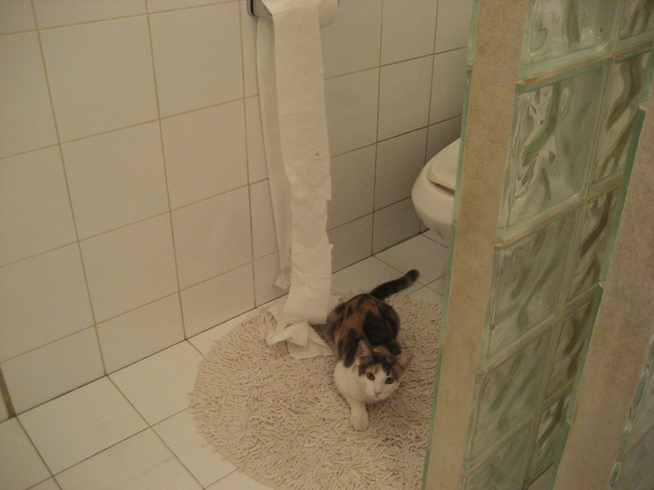 深圳编织防守炼狱，克莱化身关键先生一剑封喉