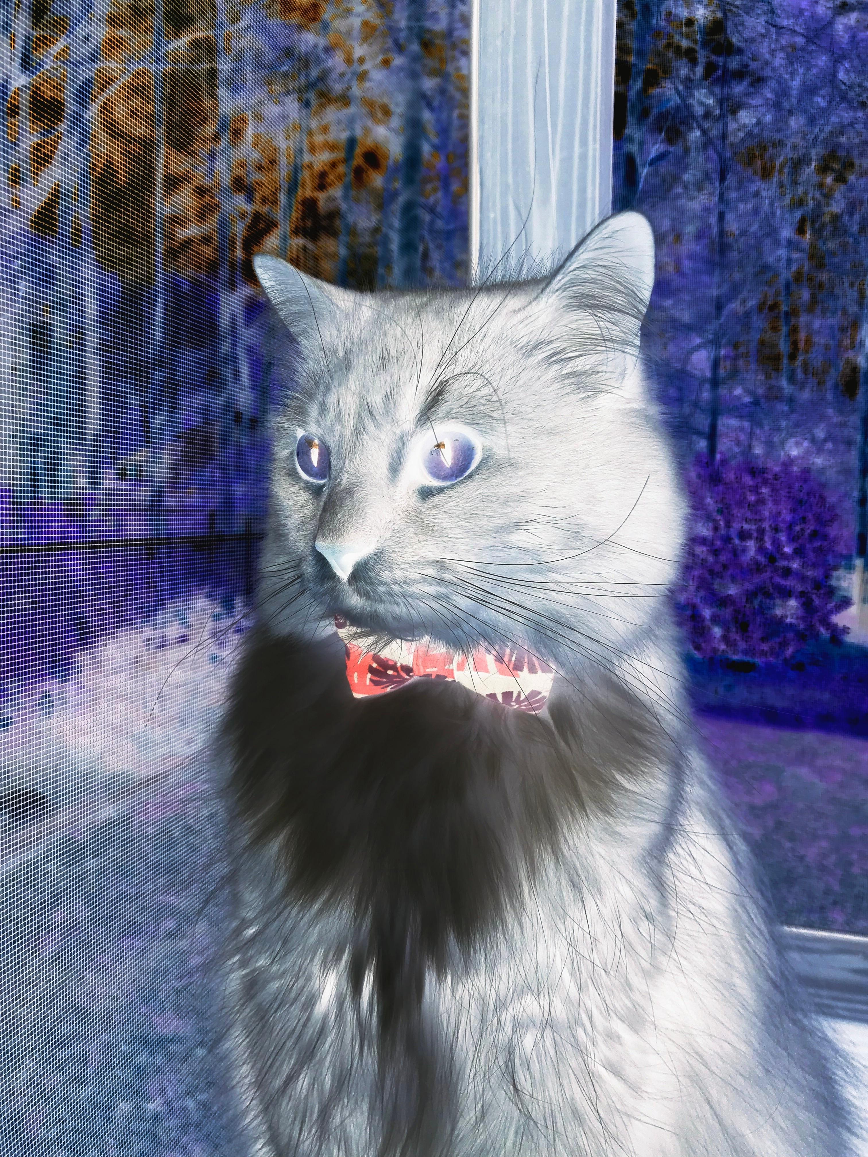 深圳编织防守炼狱，克莱化身关键先生一剑封喉