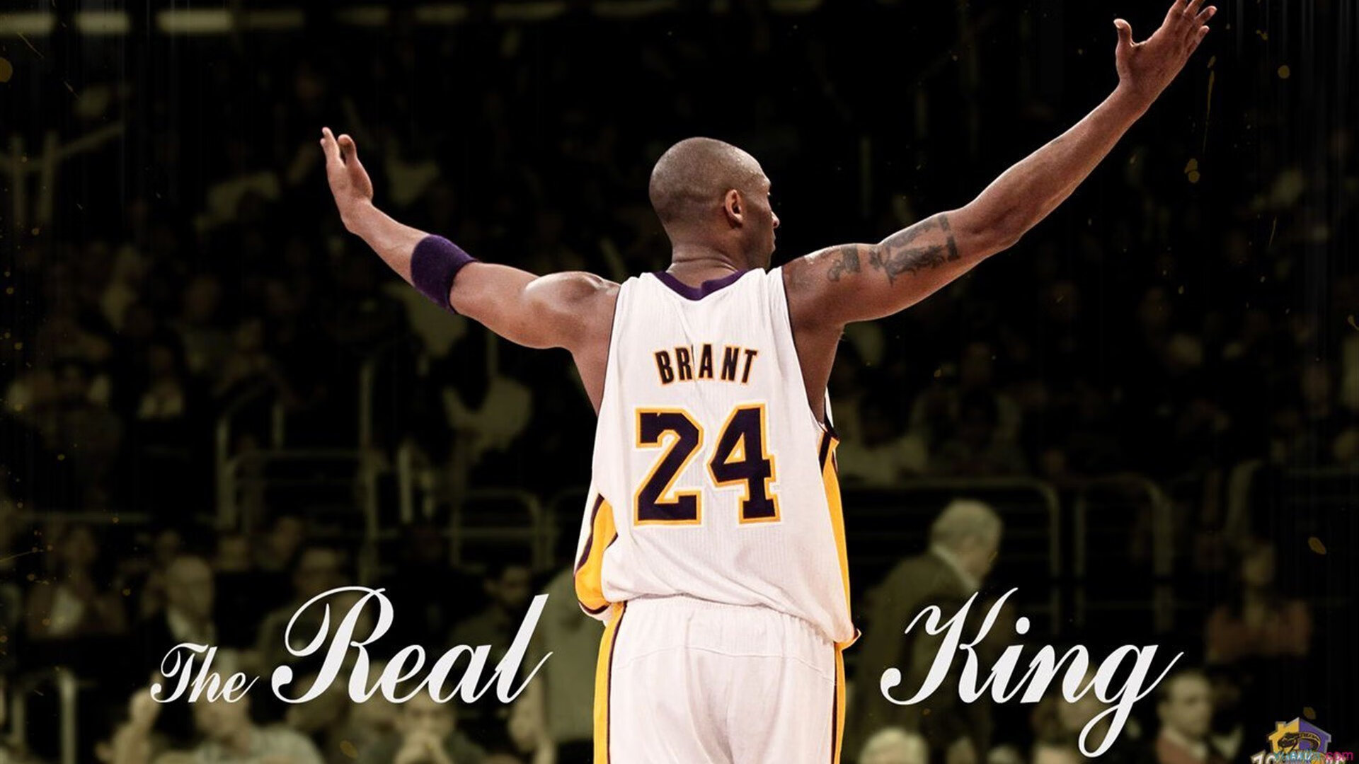 破晓时分与黄昏挽歌,京多安的爆发与黄色潜水艇的钢铁意志